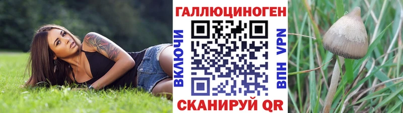 Псилоцибиновые грибы Psilocybe Купить где Видное