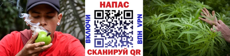 Бошки Шишки OG Kush Видное